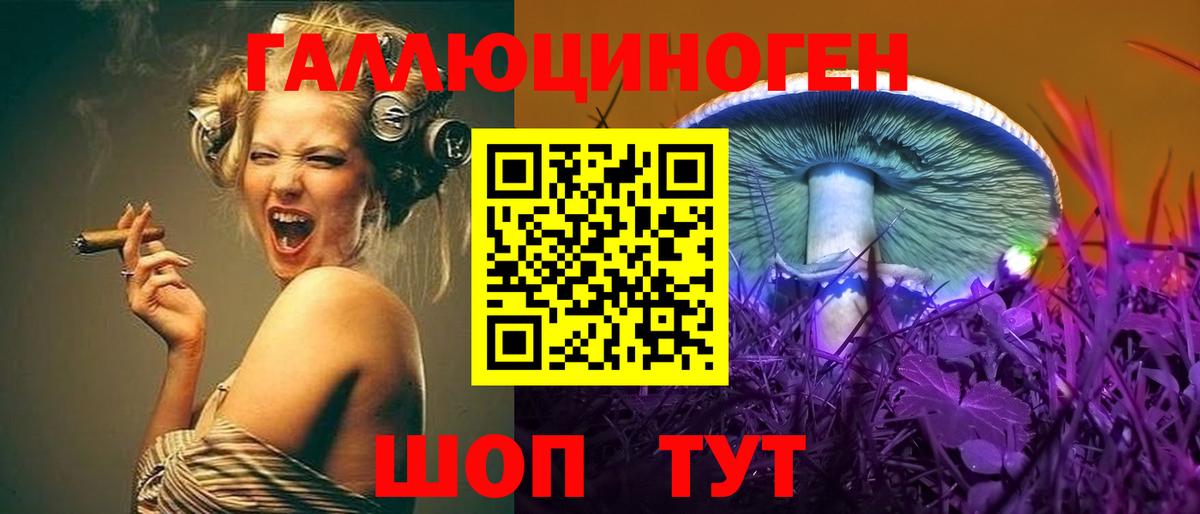 Галлюциногенные грибы Cubensis Абинск