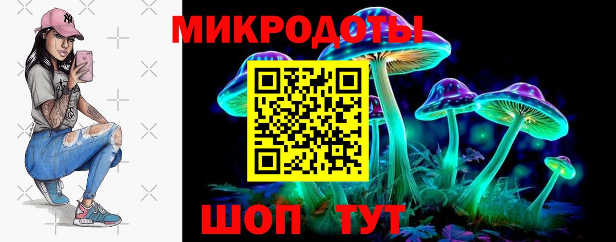 Галлюциногенные грибы Psilocybine cubensis  Псилоцибиновые грибы мухоморы  Абинск  Вход с VPN 